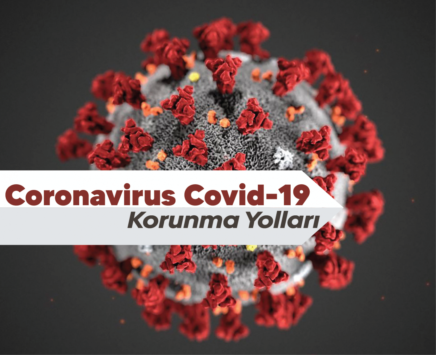 Coronavirus Covid-19 Salgını